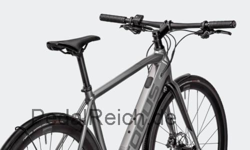 Focus Paralane2 6.6  technische daten 